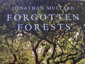 Forgotten Forests